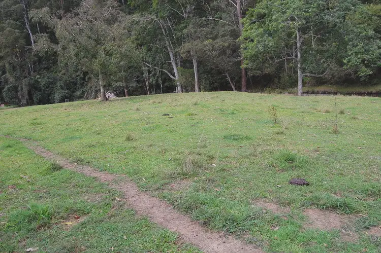 Fifth view of Homely house listing, 1497 Currumbin Creek Road, Currumbin Valley QLD 4223