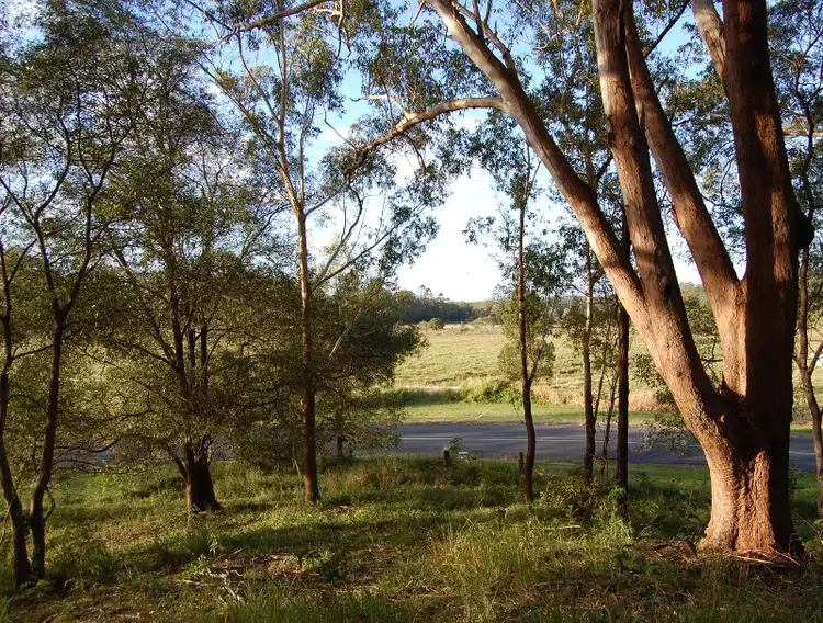 Fourth view of Homely land listing, 64 Piggabeen Road, Currumbin Valley QLD 4223