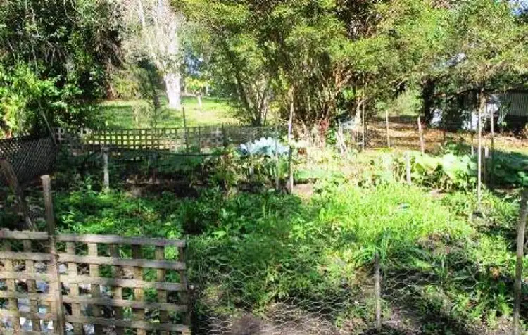 Sixth view of Homely land listing, 200 Neil Road, Mooloolah Valley QLD 4553