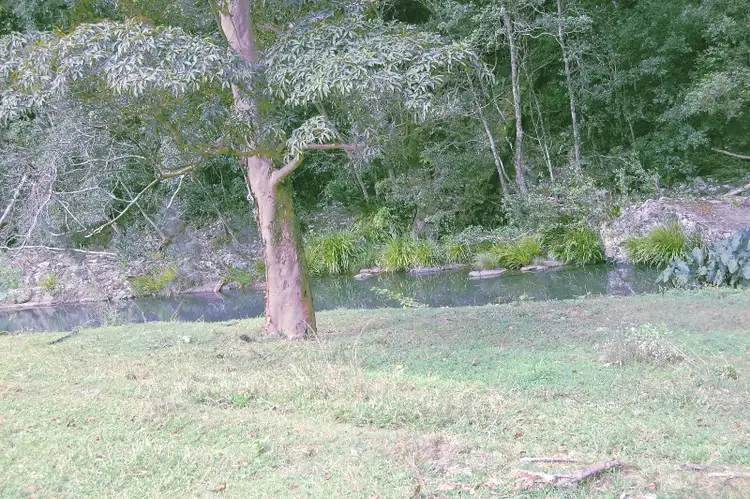 Fourth view of Homely house listing, 1497 Currumbin Creek Road, Currumbin Valley QLD 4223