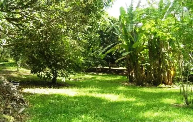 Fifth view of Homely land listing, 200 Neil Road, Mooloolah Valley QLD 4553