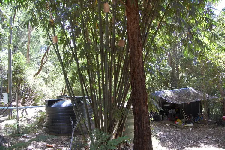 Second view of Homely house listing, 446 Tomewin Mountain Road, Currumbin Valley QLD 4223