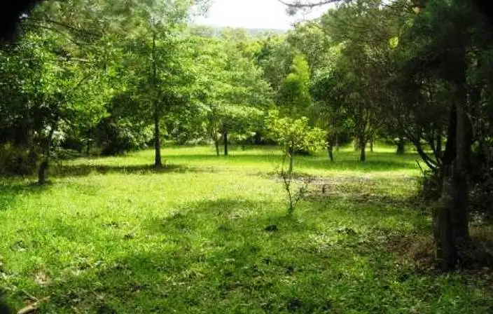 Second view of Homely land listing, 200 Neil Road, Mooloolah Valley QLD 4553