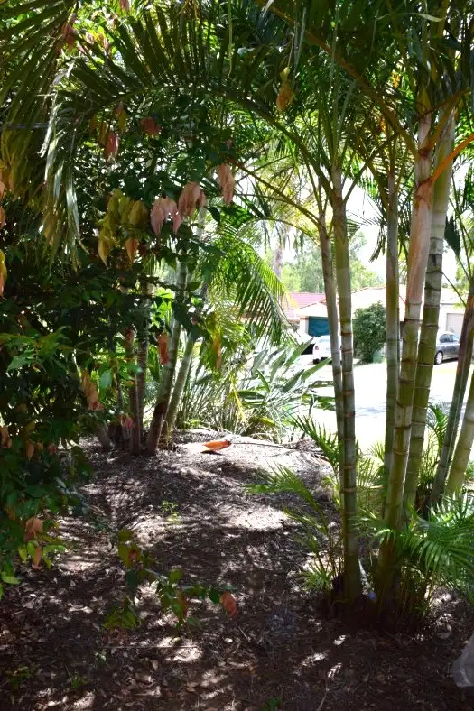 Second view of Homely house listing, LOT 38/11 Muscovy Place, Forest Lake QLD 4078