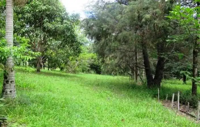 Third view of Homely land listing, 200 Neil Road, Mooloolah Valley QLD 4553