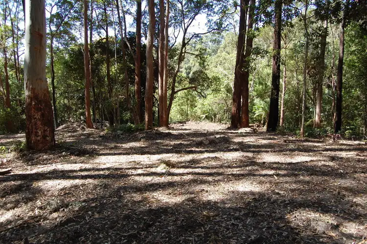 Sixth view of Homely house listing, 446 Tomewin Mountain Road, Currumbin Valley QLD 4223