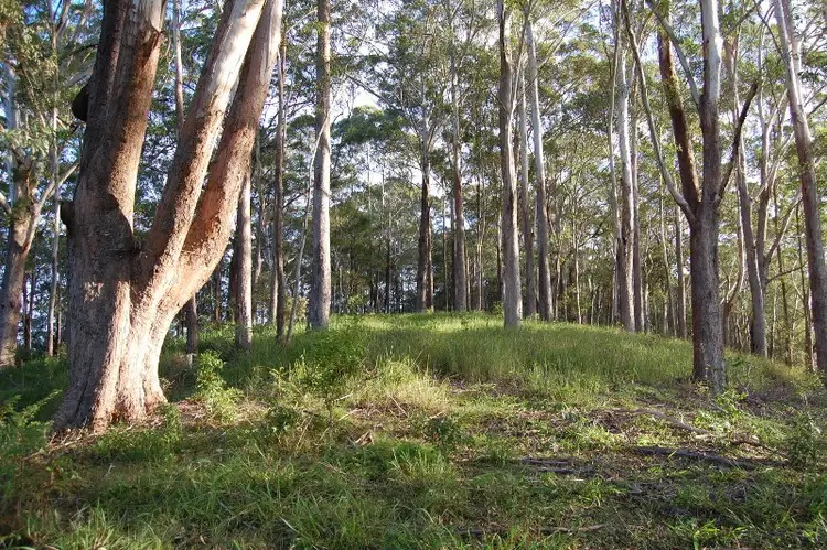 Third view of Homely land listing, 64 Piggabeen Road, Currumbin Valley QLD 4223