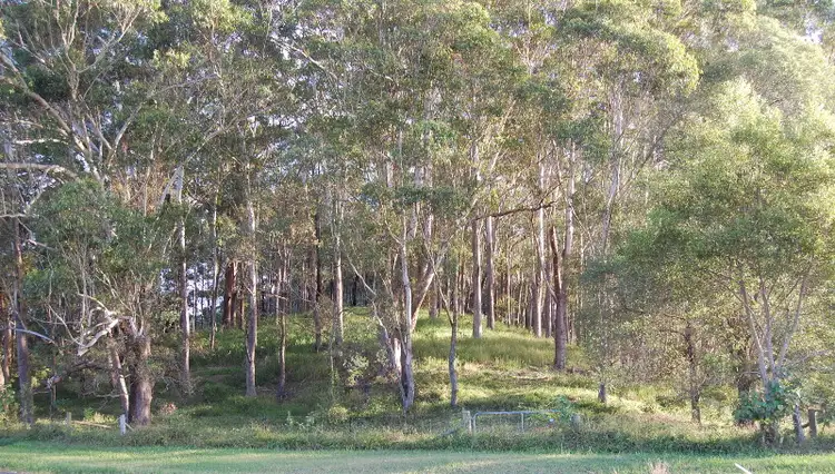 Second view of Homely land listing, 64 Piggabeen Road, Currumbin Valley QLD 4223