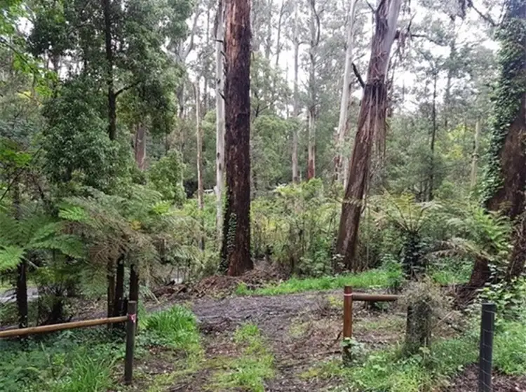 Third view of Homely land listing, 43A Perrins Creek Road, Kallista VIC 3791