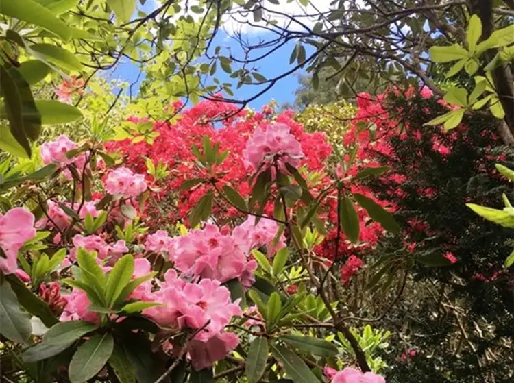 Third view of Homely house listing, 26 Perrins Creek Road, Olinda VIC 3788