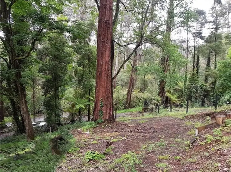 Second view of Homely land listing, 43A Perrins Creek Road, Kallista VIC 3791