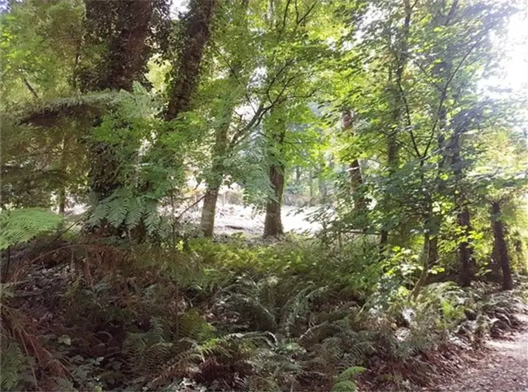 Third view of Homely land listing, 43A Perrins Creek Road, Kallista VIC 3791