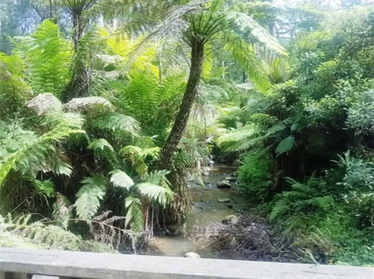 Fifth view of Homely land listing, 43A Perrins Creek Road, Kallista VIC 3791