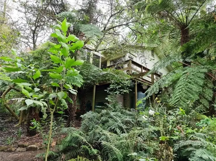 Second view of Homely house listing, 16 Owen Street, Kallista VIC 3791