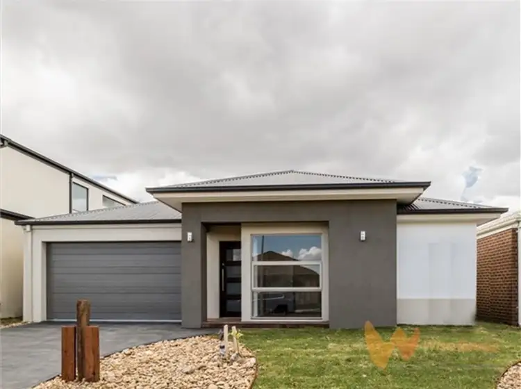 Main view of Homely house listing, 24 Wilkiea Crescent, Cranbourne North VIC 3977