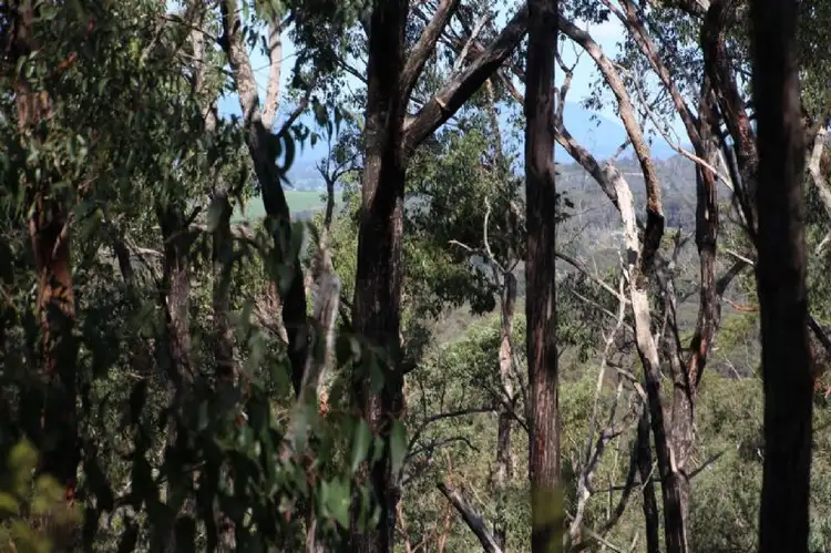 Main view of Homely land listing, 47 Warringah Drive, Chum Creek VIC 3777