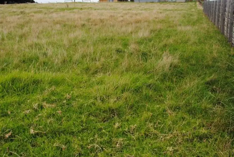 Second view of Homely land listing, 25 WALKER ST, Dalyston VIC 3992