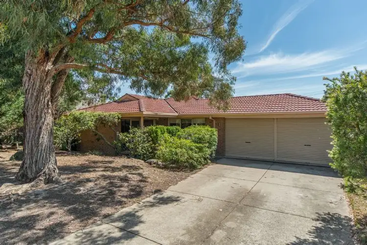 Main view of Homely house listing, 11 Stephen Street, Hastings VIC 3915