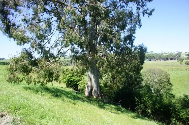 Fifth view of Homely rural property listing, Lot 1/9 Ferriers Road, Loch VIC 3945