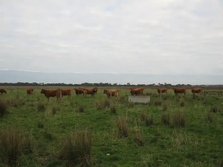Second view of Homely rural property listing, 4710 SOUTH GIPPSLAND HIGHWAY, Lang Lang VIC 3984