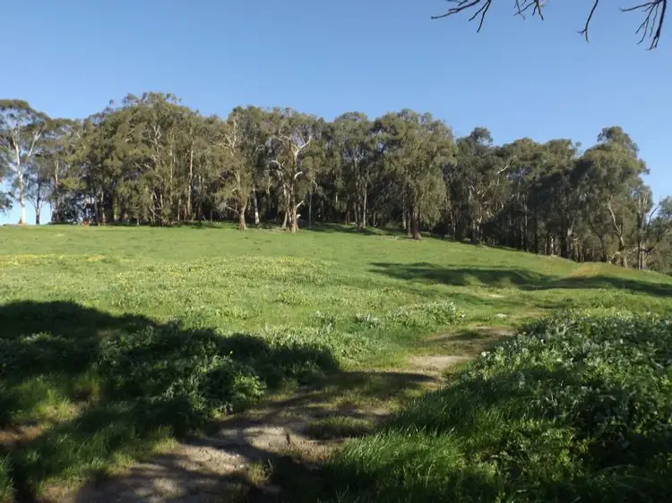 1529 Murray Road, Yarragon VIC 3823