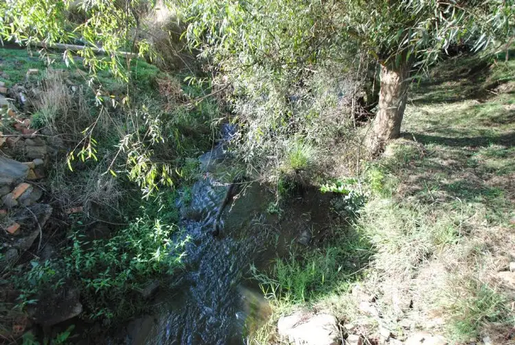 Fourth view of Homely rural property listing, 199 BERRYS CREEK ROAD, Berrys Creek VIC 3953