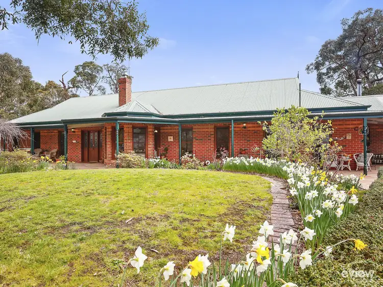 Main view of Homely house listing, 19 Juliet Crescent, Healesville VIC 3777