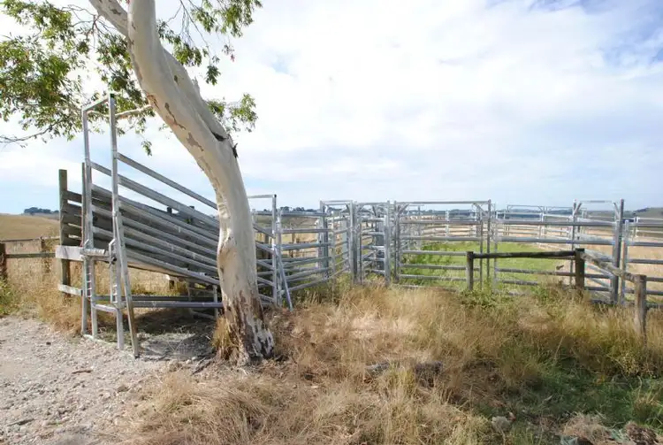 Third view of Homely rural property listing, 1050 STONY CREEK-DOLLAR RD, Stony Creek VIC 3957