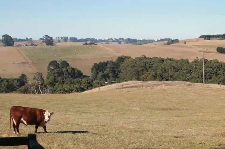 Fourth view of Homely rural property listing, 50 Hume Road, Trafalgar South VIC 3824