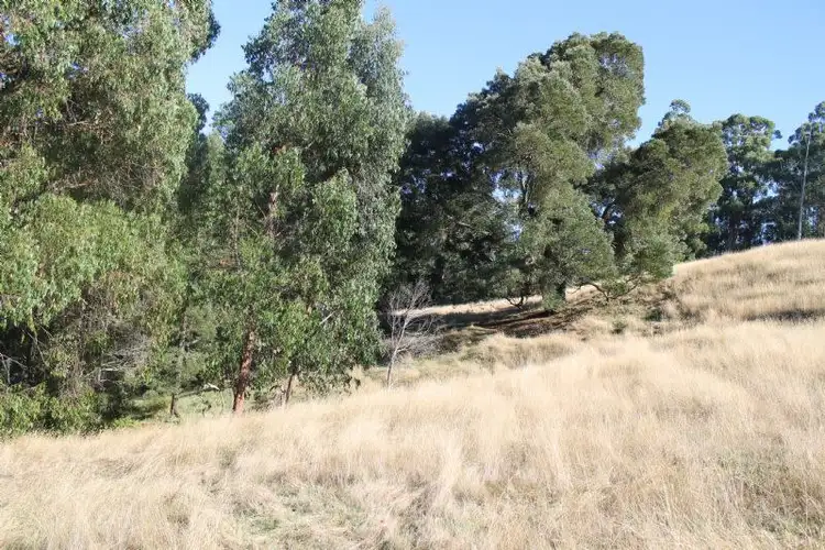 Seventh view of Homely rural property listing, 50 Hume Road, Trafalgar South VIC 3824