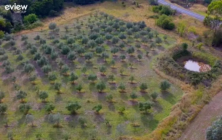 Fifth view of Homely rural property listing, 22A Full Belly Court, Eildon VIC 3713