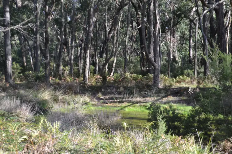 Third view of Homely rural property listing, Lot 1 Nyora St Hellier Rd, Loch VIC 3945