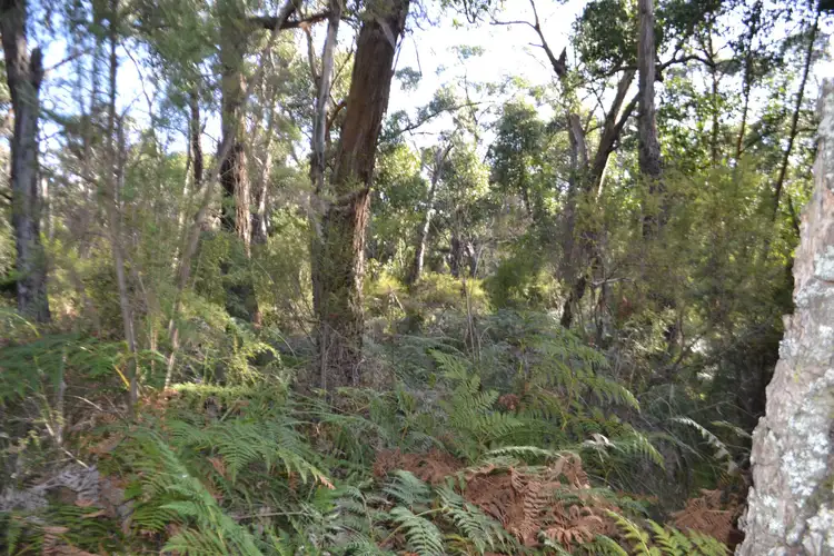 Fifth view of Homely rural property listing, Lot 1 Nyora St Hellier Rd, Loch VIC 3945