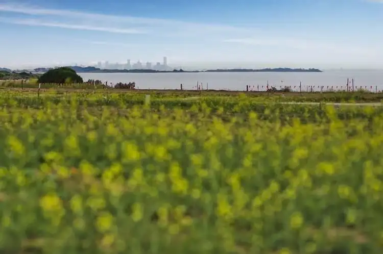 11 Masthead Way, Werribee South VIC 3030