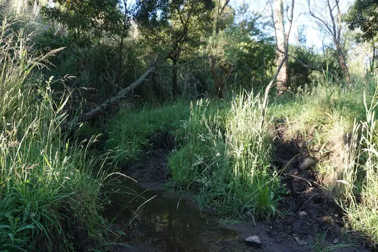 Fifth view of Homely rural property listing, Lot 3 Halleur Road, Harkaway VIC 3806