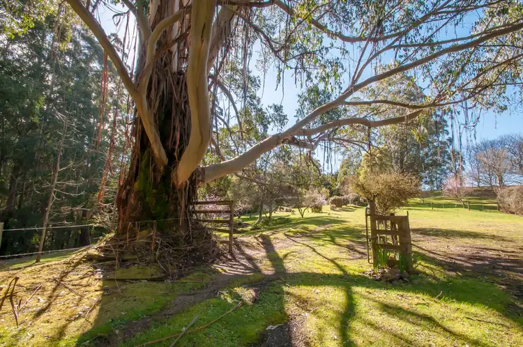 Main view of Homely rural property listing, 890 Yarragon Leongatha Road, Yarragon South VIC 3823