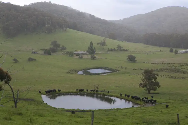 175 Bridal Road, Tonimbuk VIC 3815