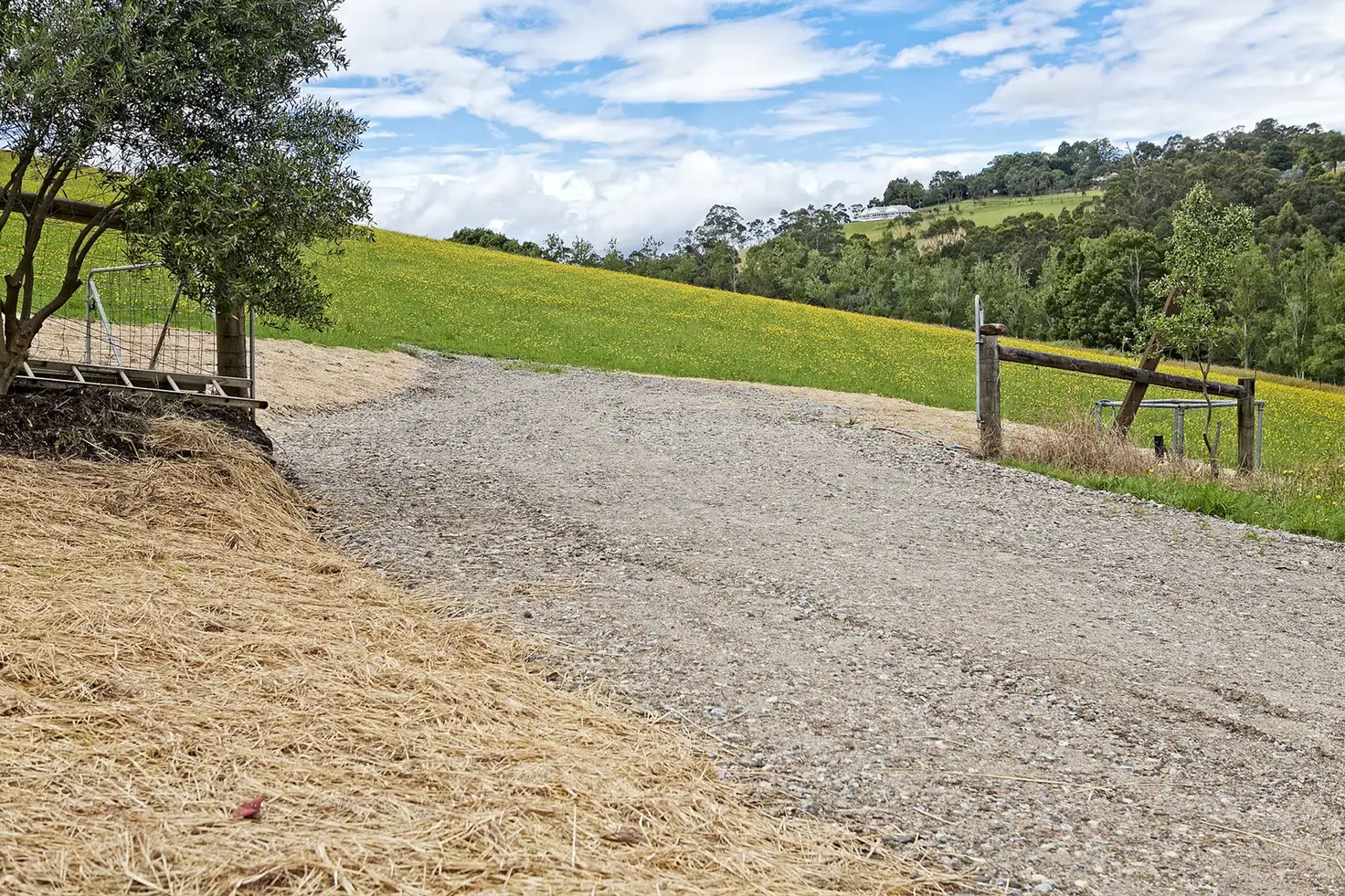 Main view of Homely land listing, lot 1 Brisbanes Road, Cockatoo VIC 3781