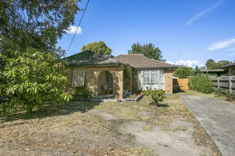 Main view of Homely house listing, 31 Rankin Road, Hastings VIC 3915