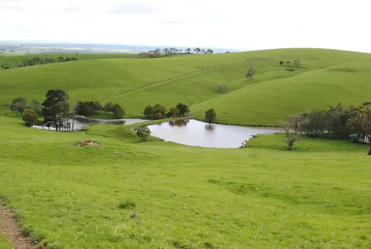 255 BUFFALO NORTH ROAD, Buffalo VIC 3958