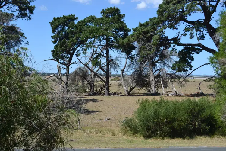 Fourth view of Homely house listing, 17 Lees Road, Venus Bay VIC 3956