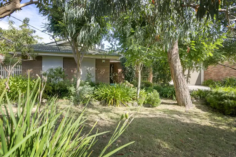 Main view of Homely house listing, 40 Beech Street, Langwarrin VIC 3910