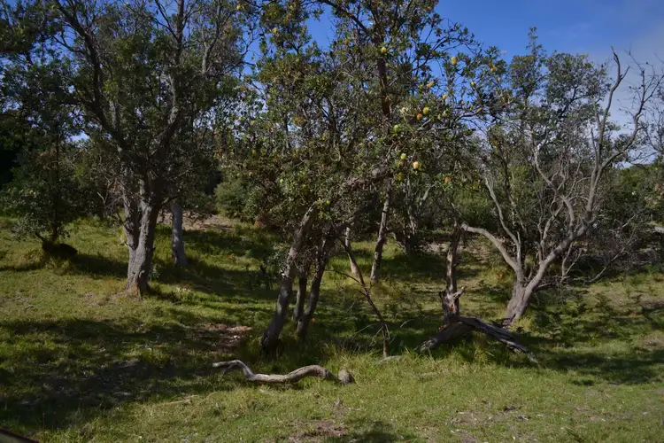 Second view of Homely land listing, 8-10 McMillan Avenue, Venus Bay VIC 3956