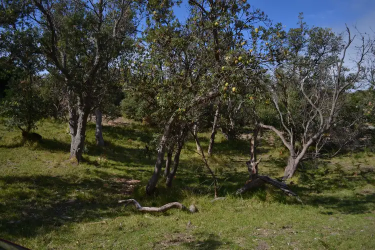 Fifth view of Homely land listing, 8-10 McMillan Avenue, Venus Bay VIC 3956