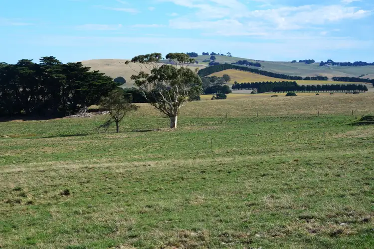 Fifth view of Homely rural property listing, 325 CLANCYS ROAD, Korumburra VIC 3950