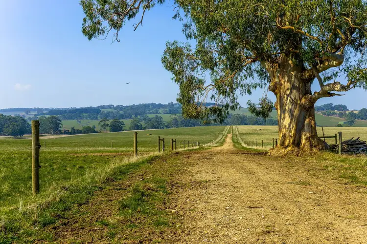 305 NERRENA ROAD, Leongatha VIC 3953