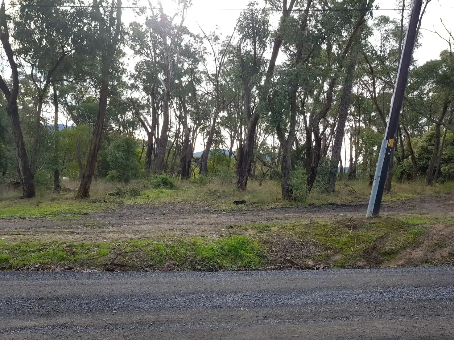 Main view of Homely land listing, 21 Fairview Road, Chum Creek VIC 3777