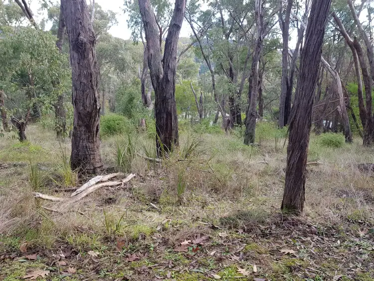 Third view of Homely land listing, 21 Fairview Road, Chum Creek VIC 3777