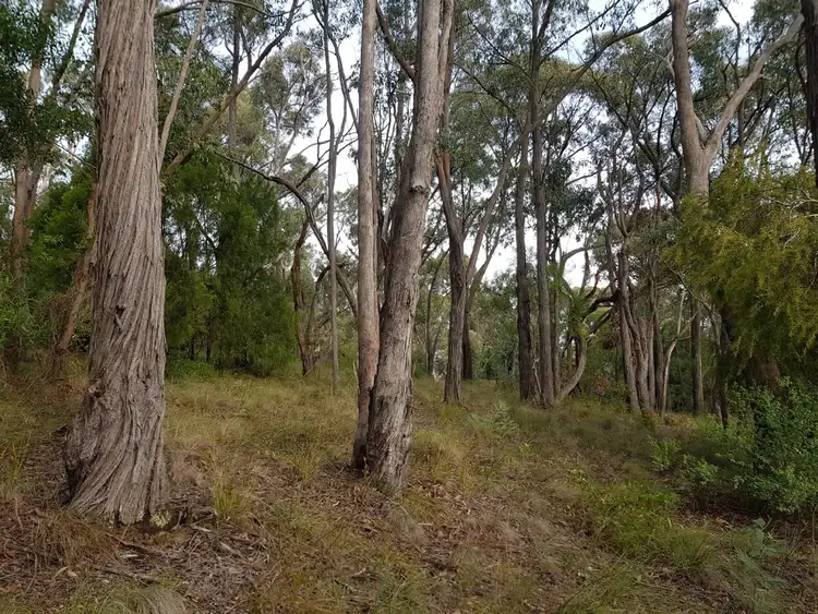 Seventh view of Homely land listing, 21 Fairview Road, Chum Creek VIC 3777