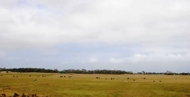 Fifth view of Homely rural property listing, 530 TELEGRAPH ROAD, Hedley VIC 3967